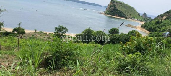  قطعة أرض في West Nusa Tenggara, Indonesia 12400متر مربع رقم 4082 3