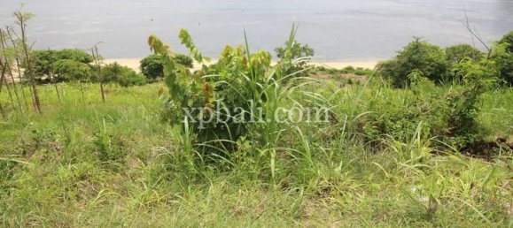  قطعة أرض في West Nusa Tenggara, Indonesia 12400متر مربع رقم 4082 13