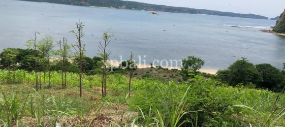  قطعة أرض في West Nusa Tenggara, Indonesia 12400متر مربع رقم 4082 5