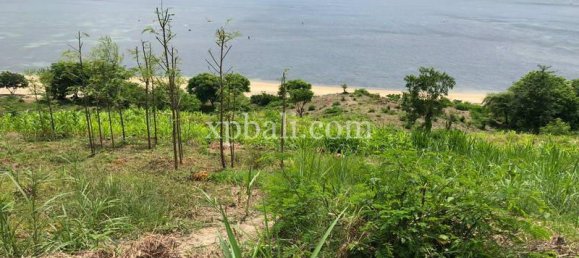  قطعة أرض في West Nusa Tenggara, Indonesia 12400متر مربع رقم 4082 2