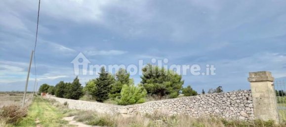 قطعة أرض في Lecce, Italy 26000متر مربع رقم 154433 9