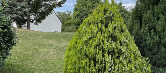 3 rooms Townhouse in Eisenstadt Umgebung, Austria No. 204613 5