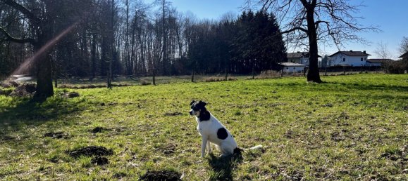 Terreno em St. Pantaleon, Austria 3965 m² N.º 126359 5