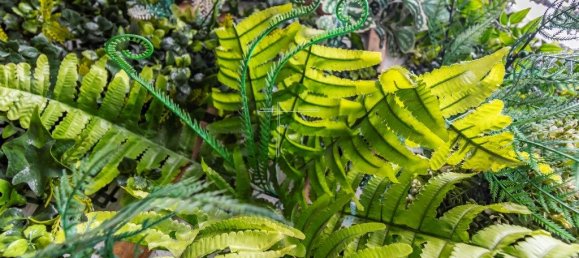 4 bedrooms House in Almada, Portugal No. 144745 39