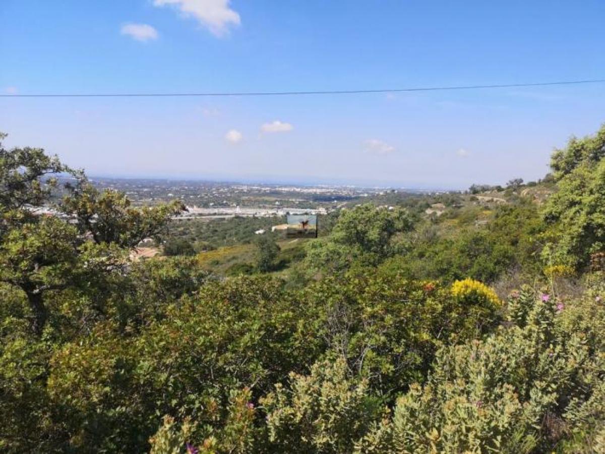 Grundstück in Faro, Portugal 1620m², Nr. 8903