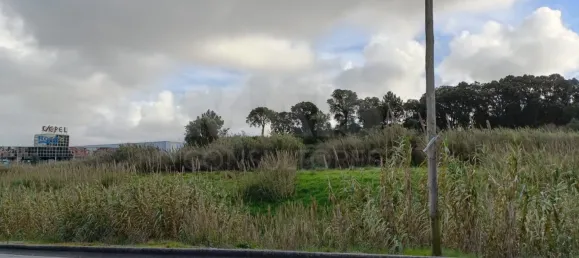 25000m² Land in Bombarral, Portugal No. 141831 4