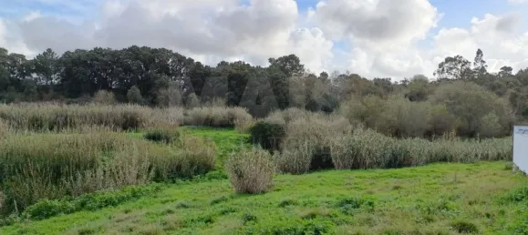 25000m² Land in Bombarral, Portugal No. 141831 2