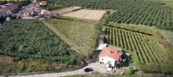 1 Schlafzimmer Haus in Felgueiras, Portugal, Nr. 48117 7