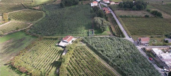 1 Schlafzimmer Haus in Felgueiras, Portugal, Nr. 48117 9