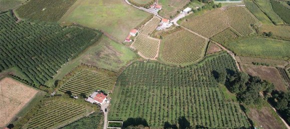 1 Schlafzimmer Haus in Felgueiras, Portugal, Nr. 48117 5