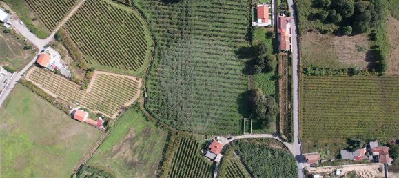 1 Schlafzimmer Haus in Felgueiras, Portugal, Nr. 48117 4