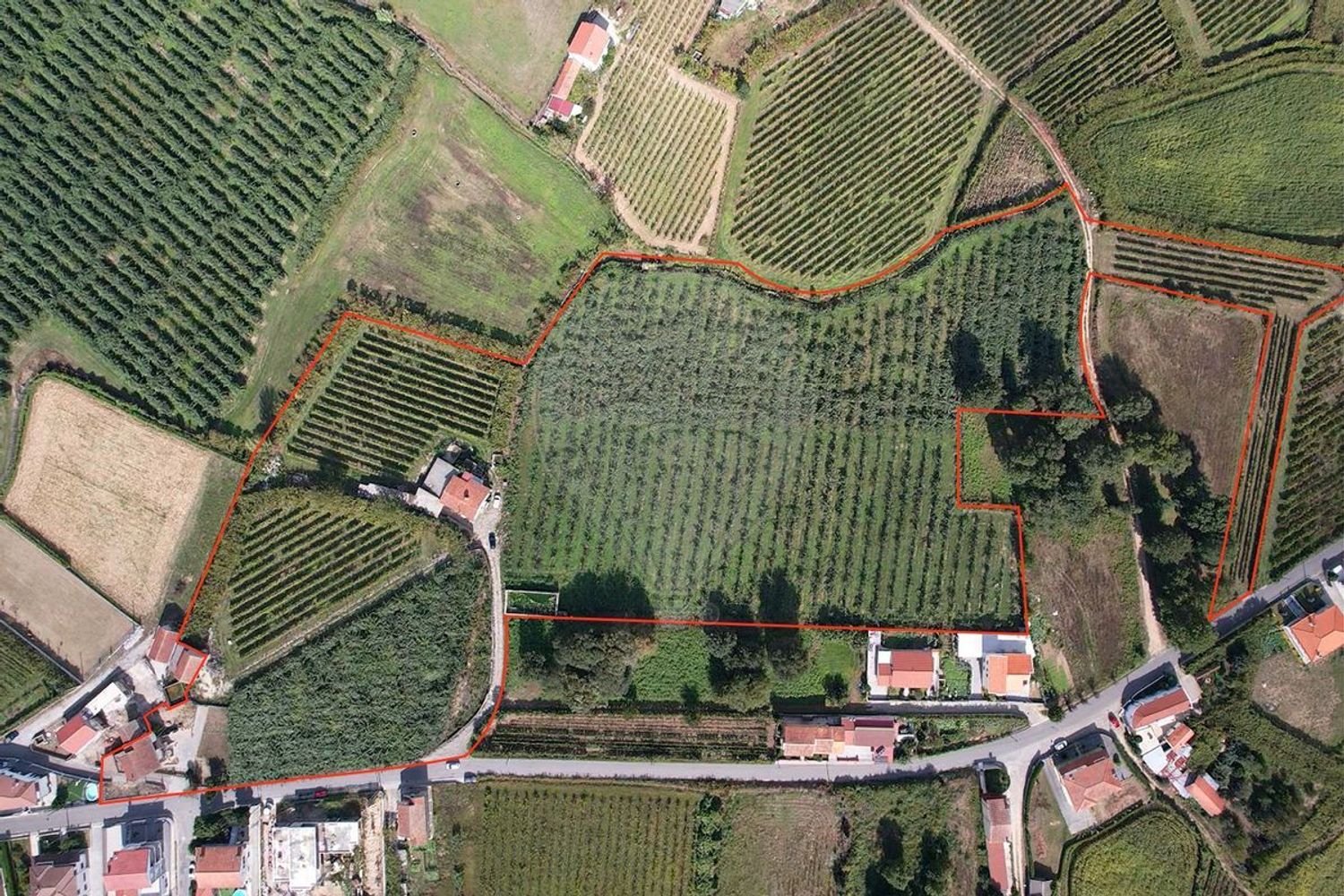 1 Schlafzimmer Haus in Felgueiras, Portugal, Nr. 48117