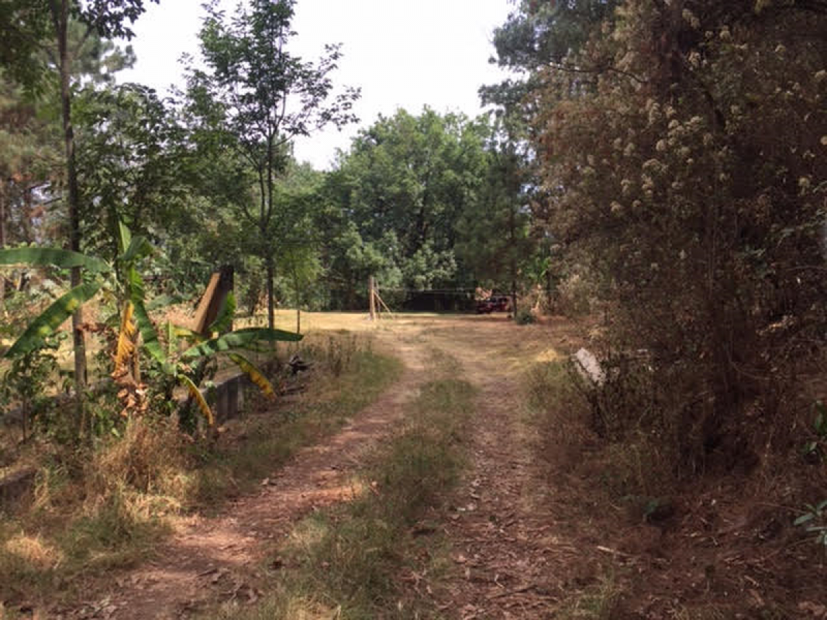 Grundstück in Heroica Matamoros, Mexico, Nr. 206842