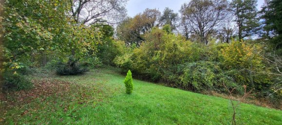 1 bedroom House in Yzeures-sur-Creuse, France No. 154150 8