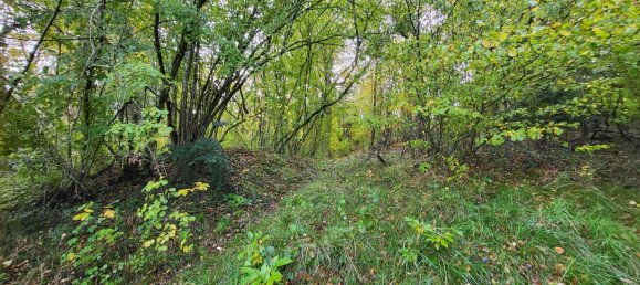 1 bedroom House in Yzeures-sur-Creuse, France No. 154150 6