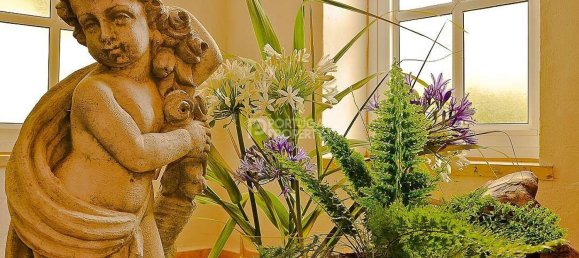 Hotel in Canico, Portugal 1375m², Nr. 127814 17