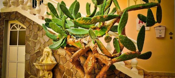 Hotel in Canico, Portugal 1375m², Nr. 127814 16