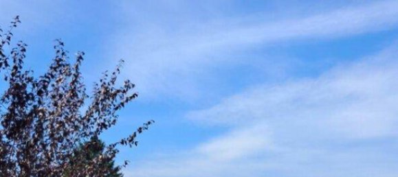 4-Zimmer Haus in Salzburg, Austria, Nr. 35637 18