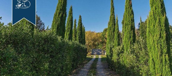 10 bedrooms Villa in Gaiole in Chianti, Italy No. 238828 21