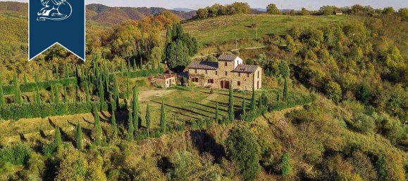 10 bedrooms Villa in Gaiole in Chianti, Italy No. 238828 4