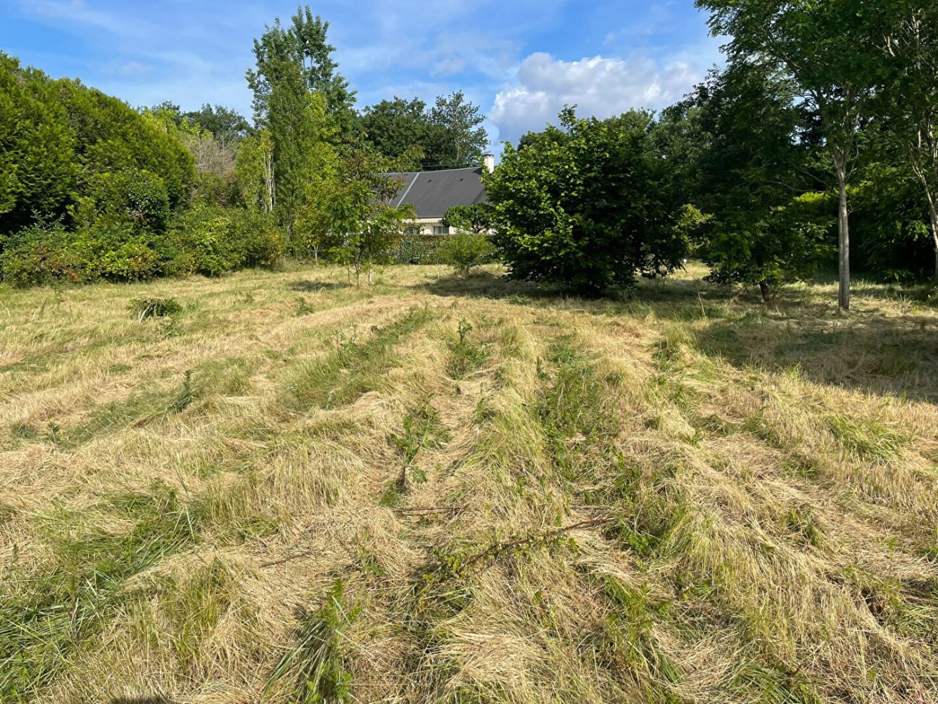  قطعة أرض في Chinon, France رقم 58941