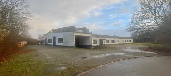 Armazém de 5 divisões em Minden-Lubbecke, Germany N.º 372117 11