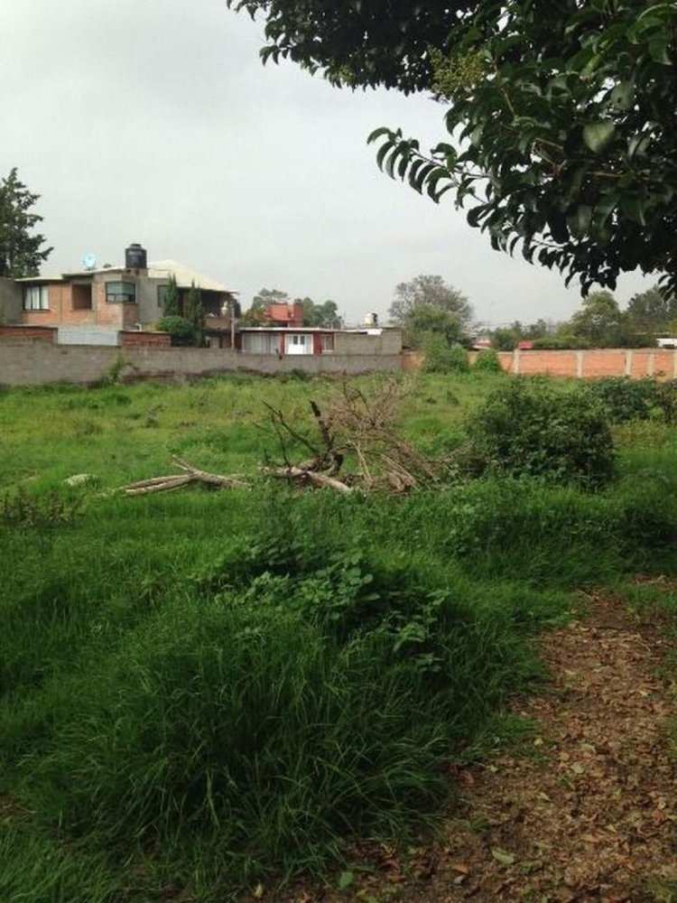 Terrain à Texcoco de Mora, Mexico No. 204636