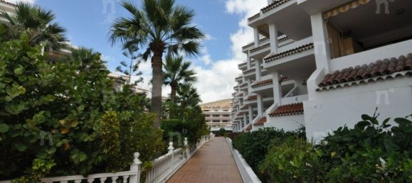 1 bedroom Apartment in Arona, Spain No. 77460 24