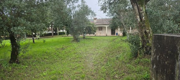 Casa T4 em Águas Belas, Portugal N.º 26418 2