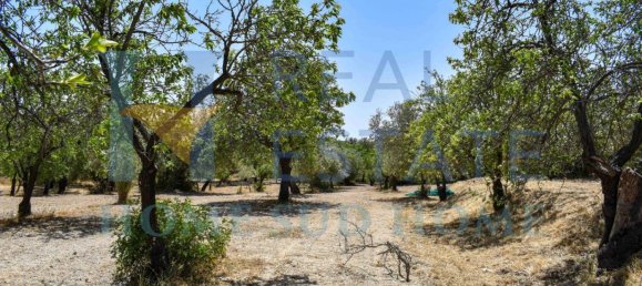 Земельный участок 30000м² в Ното, Италия № 83605 26