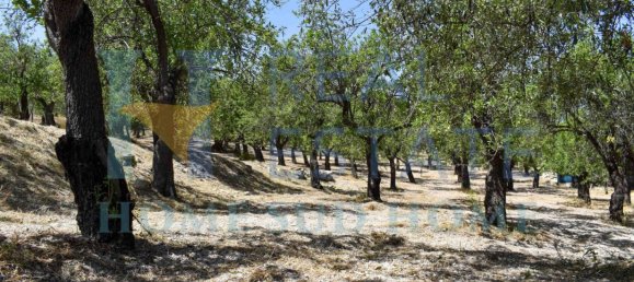 Земельный участок 30000м² в Ното, Италия № 83605 3