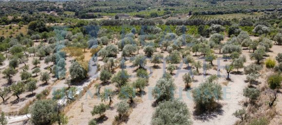 Земельный участок 30000м² в Ното, Италия № 83605 16