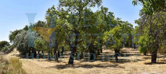 Земельный участок 30000м² в Ното, Италия № 83605 36