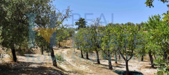 Земельный участок 30000м² в Ното, Италия № 83605 30