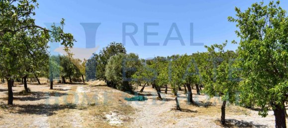 Земельный участок 30000м² в Ното, Италия № 83605 32