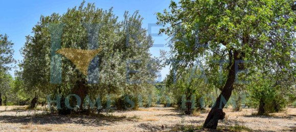 Земельный участок 30000м² в Ното, Италия № 83605 8