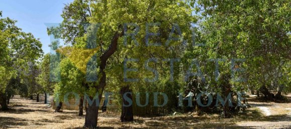 Земельный участок 30000м² в Ното, Италия № 83605 37