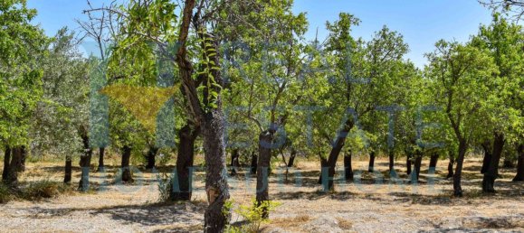 Земельный участок 30000м² в Ното, Италия № 83605 4