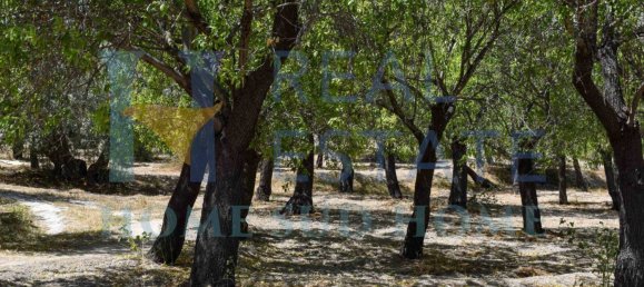 Земельный участок 30000м² в Ното, Италия № 83605 6