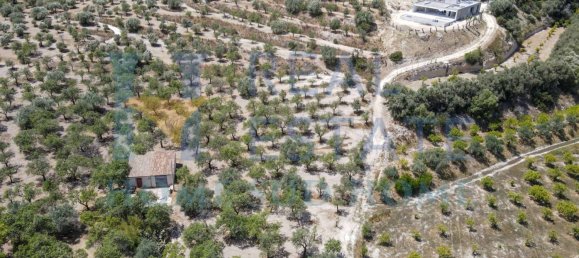 Земельный участок 30000м² в Ното, Италия № 83605 14