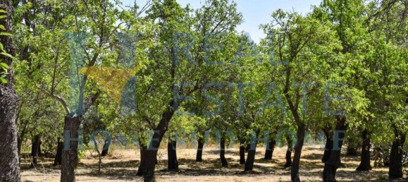 Земельный участок 30000м² в Ното, Италия № 83605 39