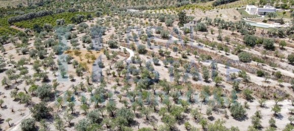 Земельный участок 30000м² в Ното, Италия № 83605 18