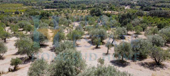 Земельный участок 30000м² в Ното, Италия № 83605 17