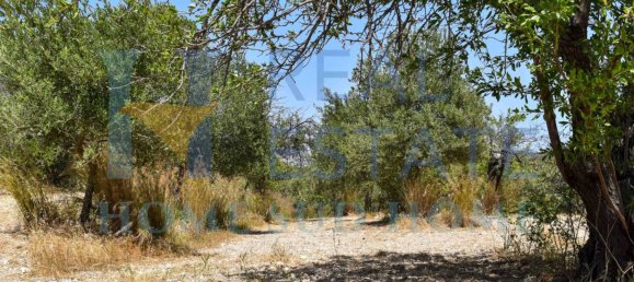 Земельный участок 30000м² в Ното, Италия № 83605 25