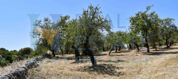 Земельный участок 30000м² в Ното, Италия № 83605 40