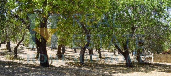 Земельный участок 30000м² в Ното, Италия № 83605 34