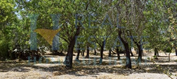 Земельный участок 30000м² в Ното, Италия № 83605 35