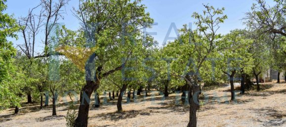 Земельный участок 30000м² в Ното, Италия № 83605 38