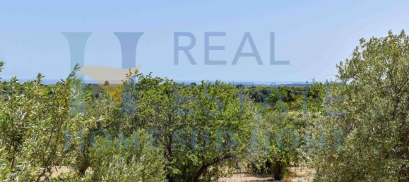 Земельный участок 30000м² в Ното, Италия № 83605 7