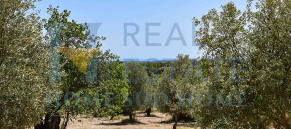 Земельный участок 30000м² в Ното, Италия № 83605 22